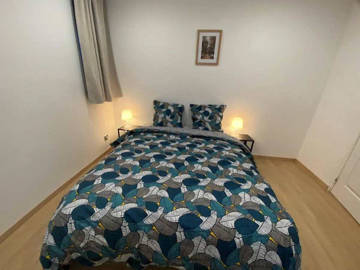 Apartament La Galerie, Proche Aeroport Tillé 0*,